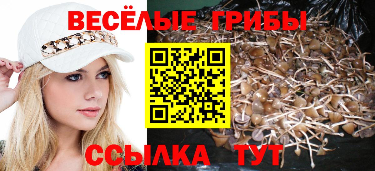 Галлюциногенные грибы Cubensis Семёнов